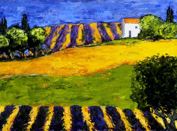Fields of Color, Provence