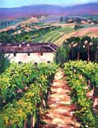 Vineyard, Tuscany
